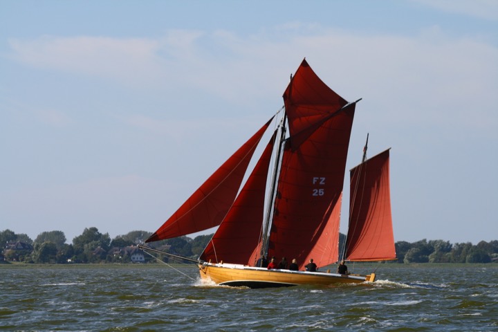 Traditional Zeesenboot sailing boat with brown sails on the Bodden