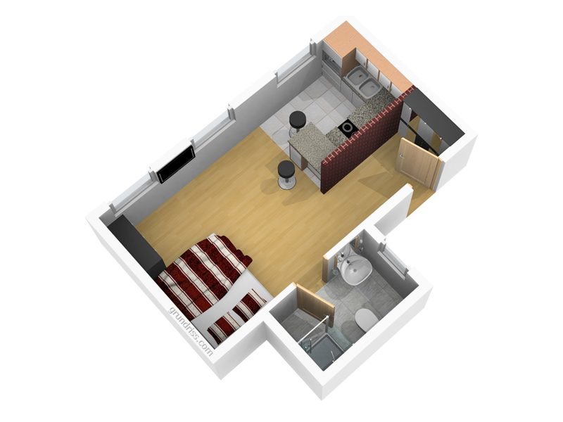 Apartment floor plan: living/sleeping room, kitchenette with counter and shower room